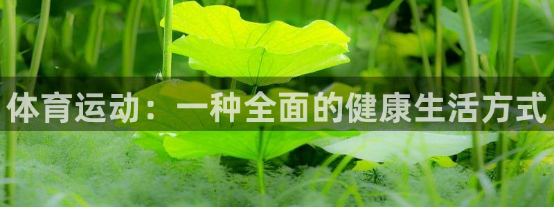 vsport体育：体育运动：一种全面的健康生活方式
