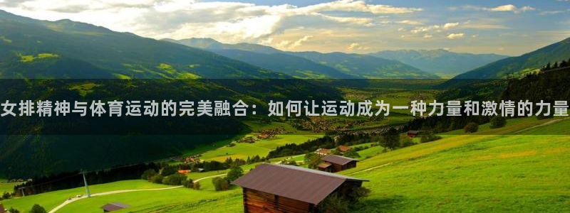 vsport体育在线官网