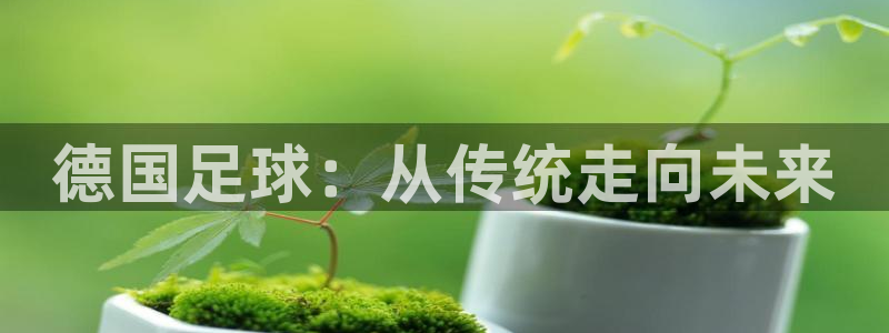 vsport体育：德国足球：从传统走向未来