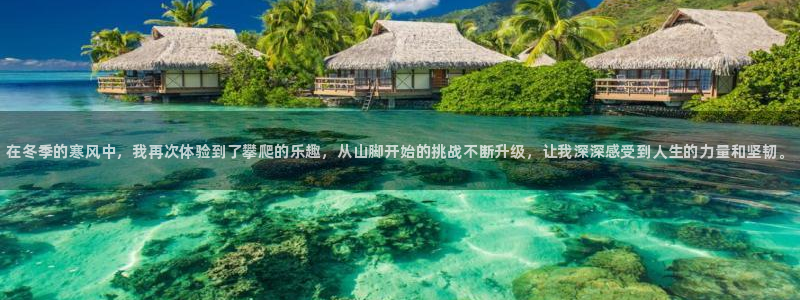 vsport体育在线官网：在冬季的寒风中，我再次体验到了攀爬的乐趣，从山脚开始的挑战不断升级，让我深深感受到人生的力量和坚韧。