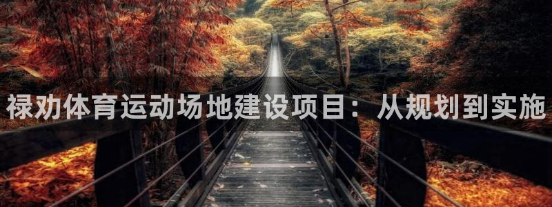 vsport体育在线官网：禄劝体育运动场地建设项目：从规划到实施