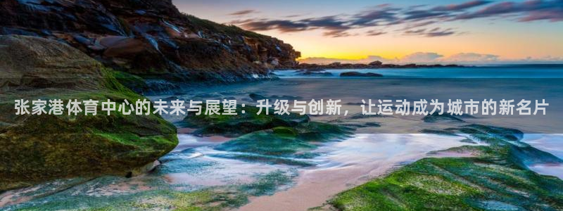 vsport体育在线官网：张家港体育中心的未来与展望：升级与创新，让运动成为城市的新名片