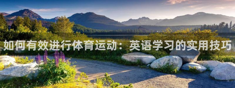 vsport体育在线官网：如何有效进行体育运动：英语学习的实用技巧