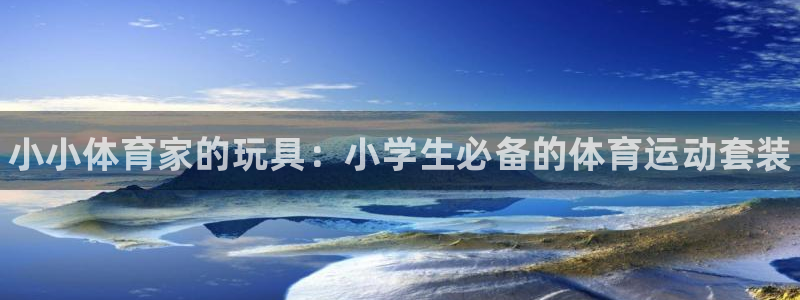 vsport体育：小小体育家的玩具：小学生必备的体育运动套装