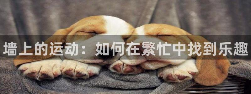 vsport体育在线官网：墙上的运动：如何在繁忙中找到乐趣