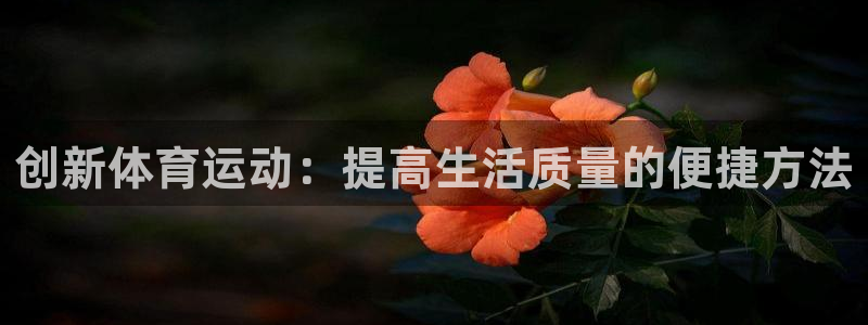 vsport体育在线官网：创新体育运动：提高生活质量的便捷方法