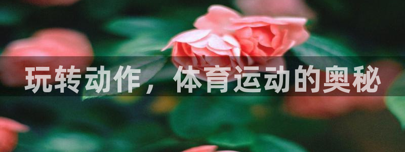 vsport体育在线官网：玩转动作，体育运动的奥秘