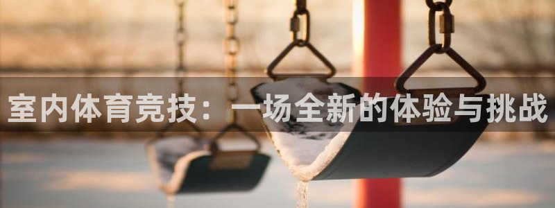 vsport体育在线官网：室内体育竞技：一场全新的体验与挑战