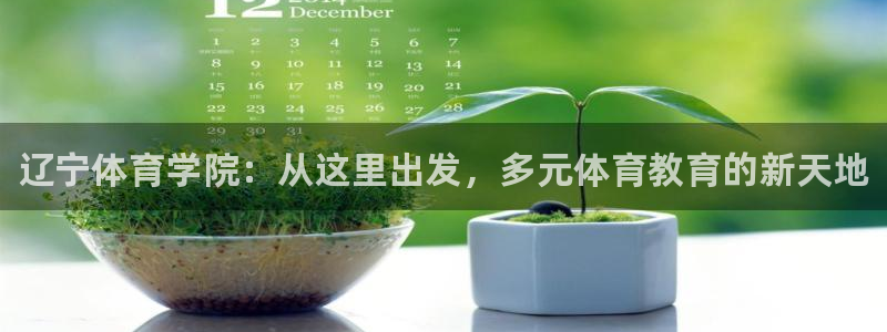 vsport体育在线官网：辽宁体育学院：从这里出发，多元体育教育的新天地