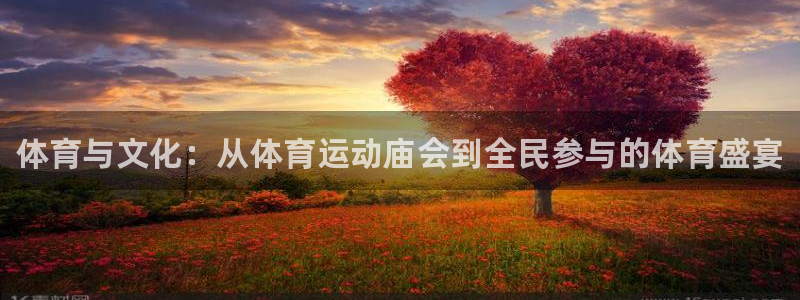 vsport体育在线官网：体育与文化：从体育运动庙会到全民参与的体育盛宴