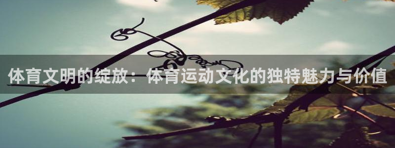 vsport体育：体育文明的绽放：体育运动文化的独特魅力与价值