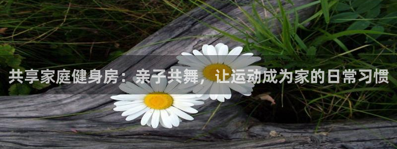 vsport体育：共享家庭健身房：亲子共舞，让运动成为家的日常习惯