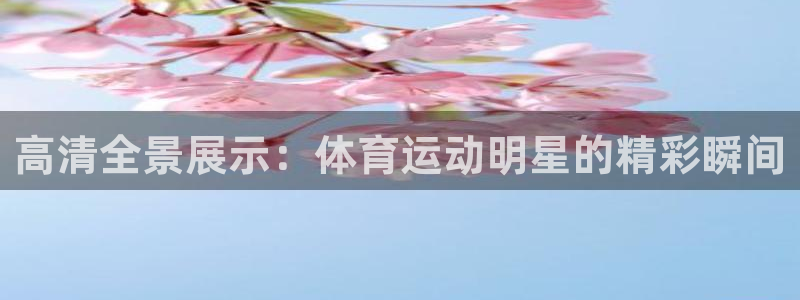 vsport体育在线官网：高清全景展示：体育运动明星的精彩瞬间