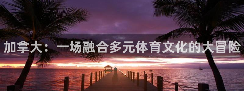 vsport体育在线官网：加拿大：一场融合多元体育文化的大冒险