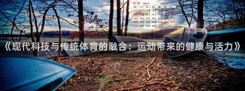 vsport体育：《现代科技与传统体育的融合：运动带来的健康与活力》
