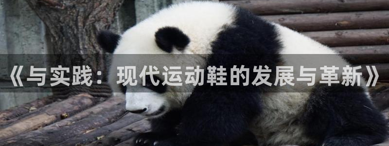 vsport体育：《与实践：现代运动鞋的发展与革新》