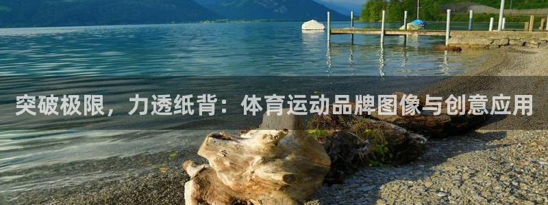 vsport体育在线官网：突破极限，力透纸背：体育运动品牌图像与创意应用