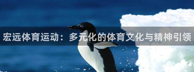 vsport体育：宏远体育运动：多元化的体育文化与精神引领