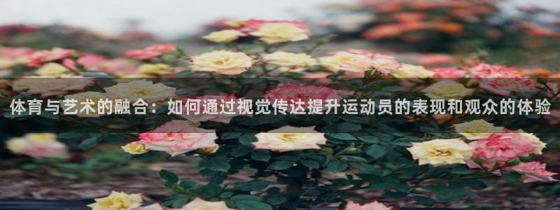 vsport体育：体育与艺术的融合：如何通过视觉传达提升运动员的表现和观众的体验