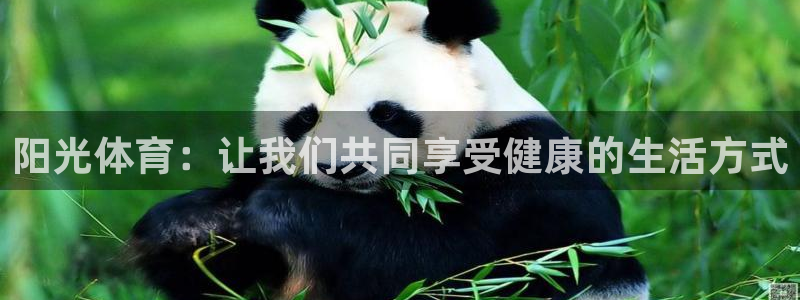 vsport体育在线官网：阳光体育：让我们共同享受健康的生活方式